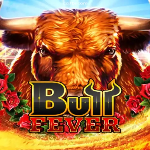 BullFever: A Deep Dive into the Thrilling Gameplay Experience